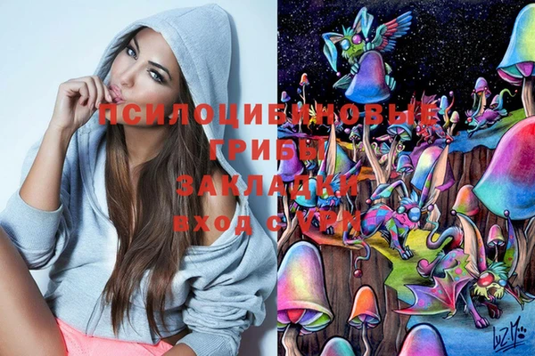 ПСИЛОЦИБИНОВЫЕ ГРИБЫ Новозыбков