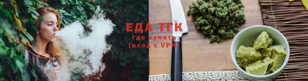 ПСИЛОЦИБИНОВЫЕ ГРИБЫ Новозыбков