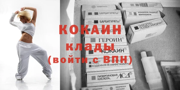 ПСИЛОЦИБИНОВЫЕ ГРИБЫ Новозыбков